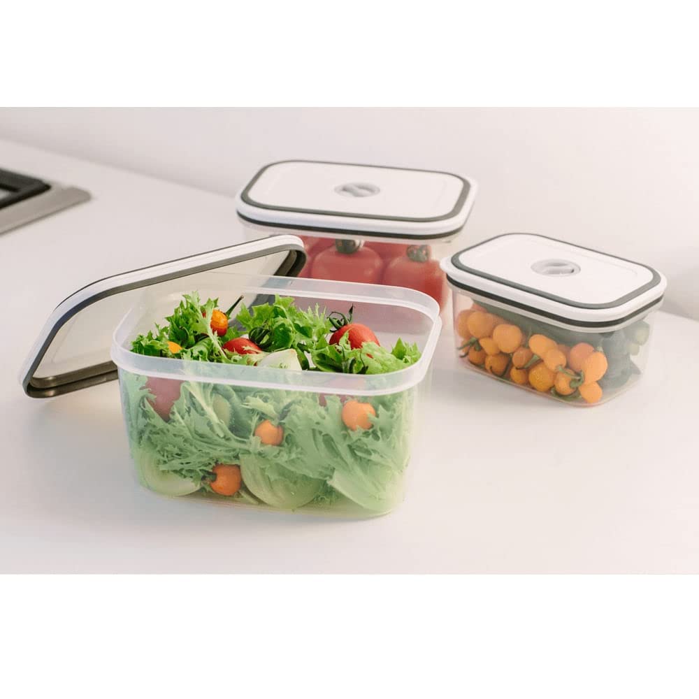 Kit Potes de Plástico Hermético Electrolux (10 unidades)