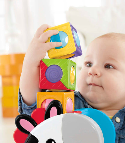 Fisher-Price Zebra Blocos Surpresa